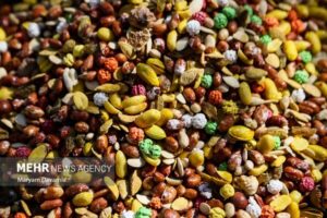 افتتاح نمایشگاه ویژه شب یلدا در بندرعباس