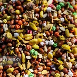 افتتاح نمایشگاه ویژه شب یلدا در بندرعباس