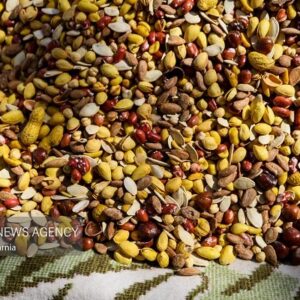 تعزیرات حکومتی طرح نظارتی ویژه شب یلدا را اجرا کرد