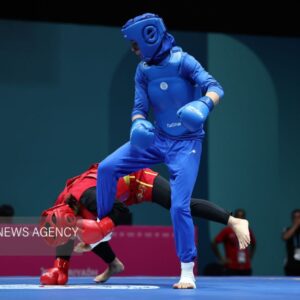 هاشمی: ووشوی ایران با تکیه بر استان‌ها در مسیر افتخارآفرینی است