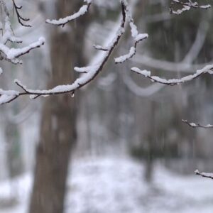 رستگاری: میانگین بارشها آبان ماه در آذربایجان غربی به ۵۴.۸میلیمتر رسید