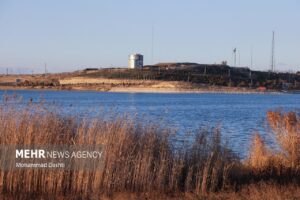 مهدی آقایی: ارتقای جایگاه محیط‌زیست در حقوق عامه ضروری است