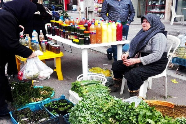 طلایی: ۳ هزارروستا بازار برای توزیع محصولات کشاورزی ایجاد می‌شود