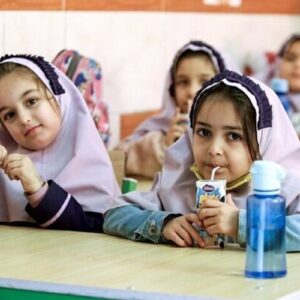 هفته آینده در مدارس ابتدایی خراسان جنوبی شیر توزیع می‌شود