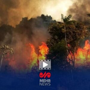 برگزاری دوره‌های تخصصی برای جلوگیری از آتش سوزی جنگل‌ها