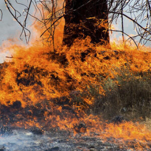 حریق در خط لوله اصلی گاز در مسیر کرمانشاه–سراب نیلوفر