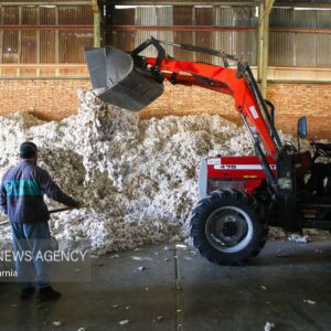 اینفوگرافیک؛ اقتصاد زیان ده پنبه خراسان رضوی