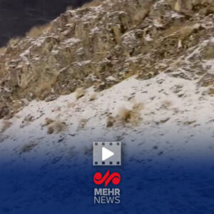 بارش برف در کوه مروارید آباده فارس