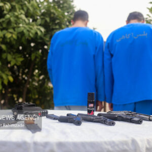 کشفیات پلیس فارس در حوزه سرقت، جعل و کلاهبرداری