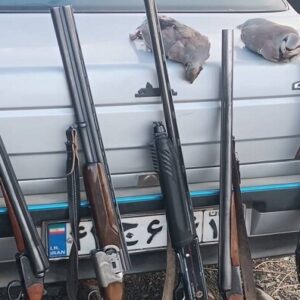 خانی: ۱۴ شکارچی متخلف در ارومیه دستگیر شدند