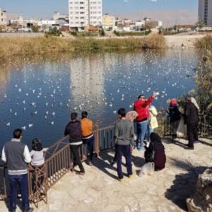 آبگیر پارک فروزان شیراز از خطر سگ ولگرد و موش پاکسازی شد