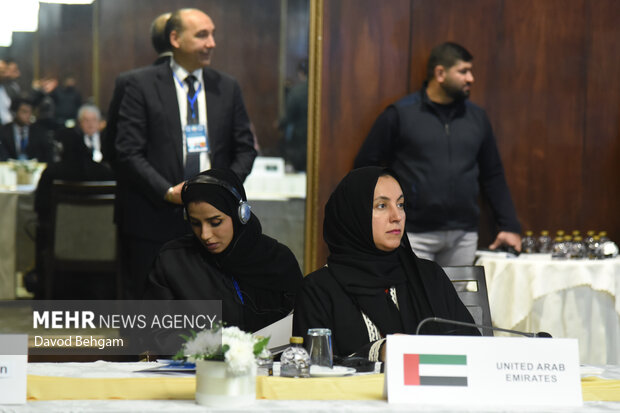 نشست کمیته دایمی امور سیاسی مجمع مجالس اسیا