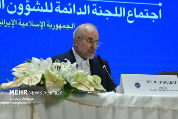 نشست کمیته دایمی امور سیاسی مجمع مجالس اسیا