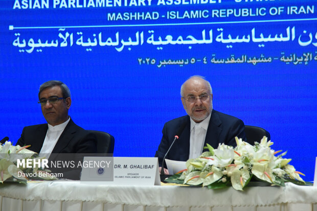 نشست کمیته دایمی امور سیاسی مجمع مجالس اسیا