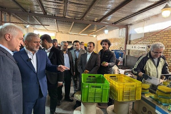 ضرورت ورود دستگاه‌های قضائی، نظارتی و اجرایی برای حل مشکلات تولید