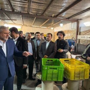 ضرورت ورود دستگاه‌های قضائی، نظارتی و اجرایی برای حل مشکلات تولید