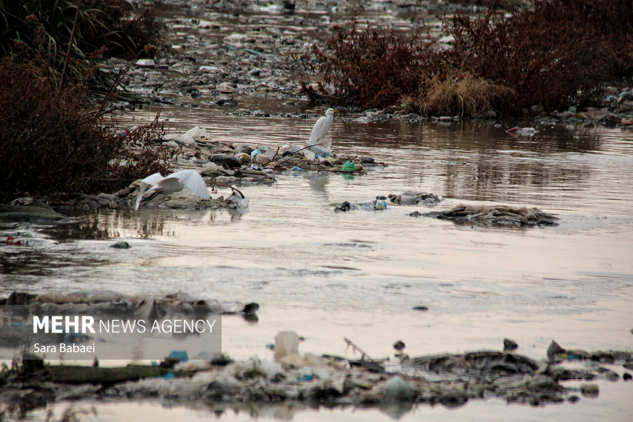 وقتی هیچ‌کس متولی نیست؛ بلاتکلیفی مدیریتی قره‌سو تا مرز بحران سلامت