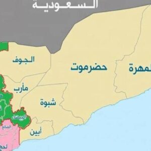 اذعان تایمز به ارتباط بین مزدوران یمنی و رژیم صهیونیستی