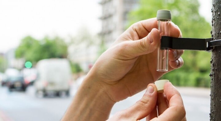 ۱۶ ابتکار جهانی برای کاهش آلودگی هوا؛ از شهر هوشمند تا جنگل‌های عمودی