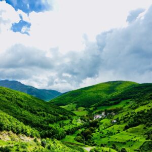 سفر به سرزمین قلعه‌ها و جنگل‌های مه‌آلود