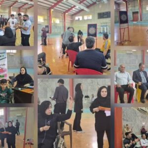 استعدادیابی پارا دارت و فوتبال روی میز  معلولان در دشتی برگزار شد