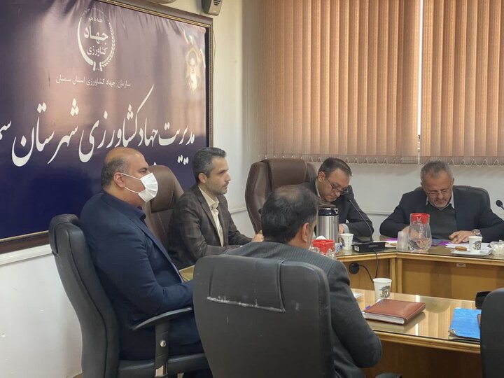 کاهش ریسک تولید با پوشش بیمه؛ آگاه سازی کشاورزان سمنانی در دستور کار