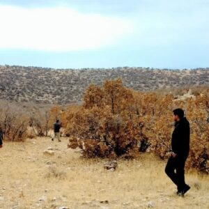 تخریب ۱۱ کوره زغال و کشف سه تن چوب بلوط در فیروزآباد