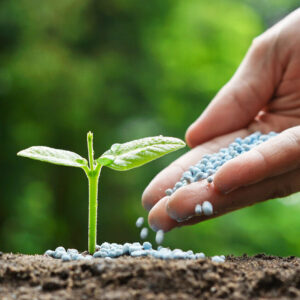 اوستان: تنها ۱۵ درصد خاک ایران قابل کشت است