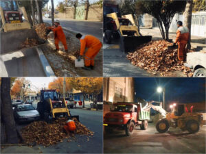 ۴ تن برگ درخت در گلپایگان جمع آوری شد
