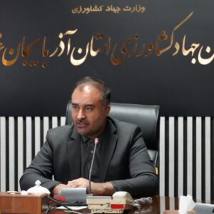 اصغری:۳۱هزار رأس دام آذربایجان غربی زیرپوشش طرح افزایش تولید قرار گرفت