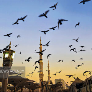 مسجد النبی(ص) در آستانه ولادت حضرت زهرا (س)