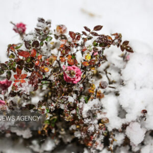 صابری: بارش باران و برف در آذربایجان غربی؛ دما کاهش می یابد