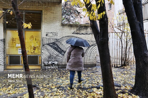 تبریز بارانی شد