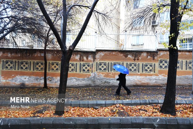 تبریز بارانی شد