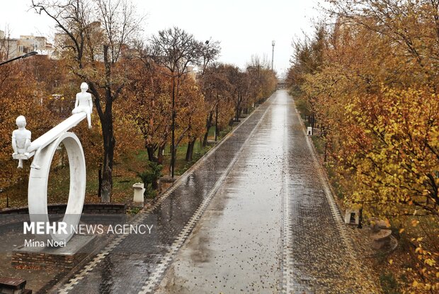 تبریز بارانی شد