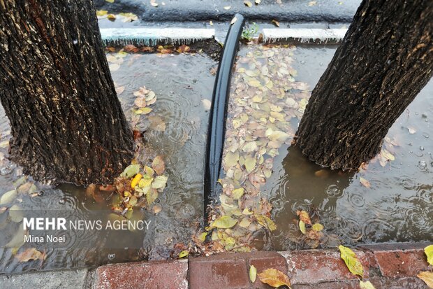 تبریز بارانی شد