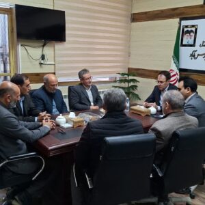 لطفی:تمامی ظرفیت‌های پارس‌آباد برای برگزاری انتخابات سالم بسیج می‌شود