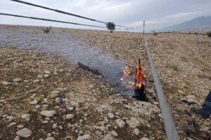 سقوط تیر برق چوبی بر اثر صاعقه در بهمئی؛ چند منطقه دچار خاموشی شد