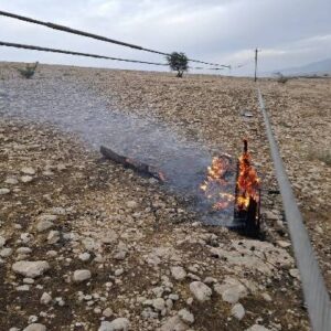 سقوط تیر برق چوبی بر اثر صاعقه در بهمئی؛ چند منطقه دچار خاموشی شد