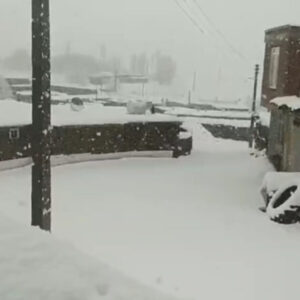 بارش شدید برف در مناطق روستایی و شهری بوکان