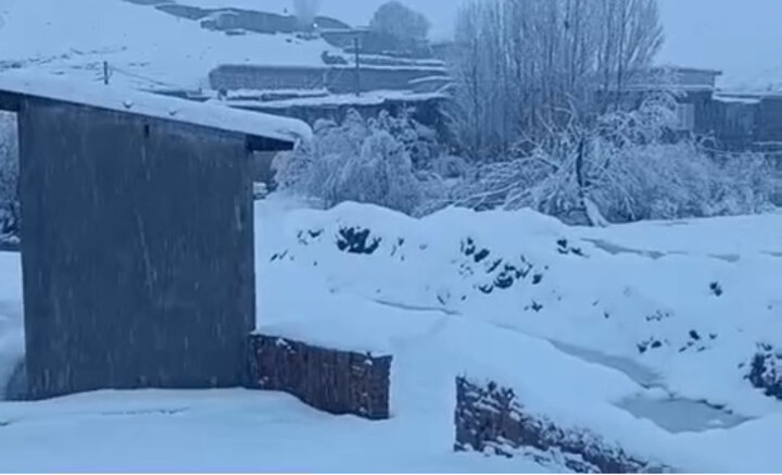 بارش شدید برف در منطقه منگورشرقی در مهاباد