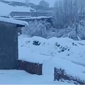 بارش شدید برف در منطقه منگورشرقی در مهاباد