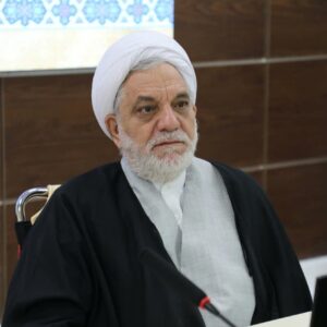 حمیدی: آرای داوری حرفه‌ای در استان کرمان رشد ۳۰۳ درصدی داشته است