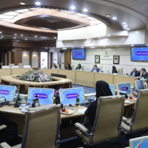 ظفرقندی: اجرای سیاست های جمعیتی عزم ملی می خواهد