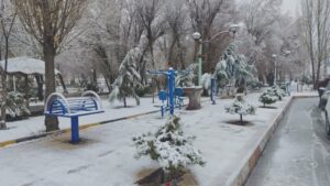 بارش اولین برف پاییزی در دلفان