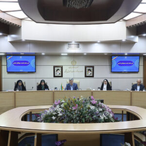 نشست فراکسیون زنان مجلس با وزیر بهداشت؛ سند سلامت بانوان تدوین می‌شود