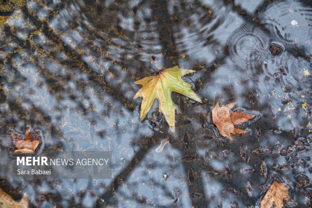 باران در کرمانشاه؛ از خیابان‌های خیس تا آسمان ابری شهر