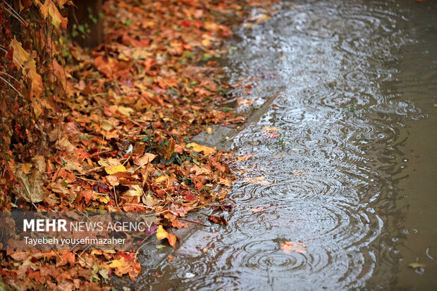 بارش سنگین باران در همدان