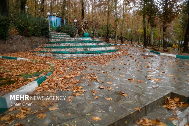 سنندج در آغوش باران؛ پاییزی پر از رنگ و طراوت