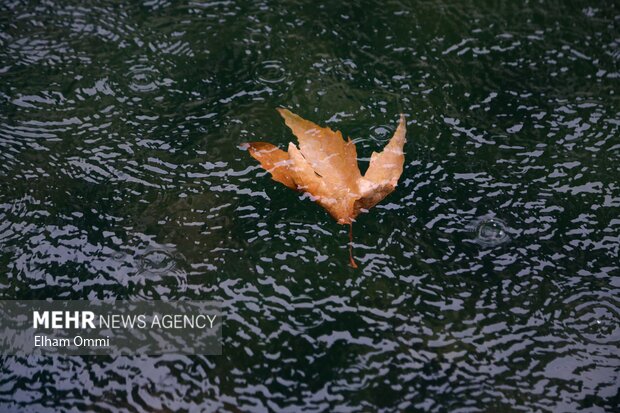 سنندج در آغوش باران؛ پاییزی پر از رنگ و طراوت